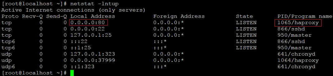 Linux安装HAProxy和简单使用