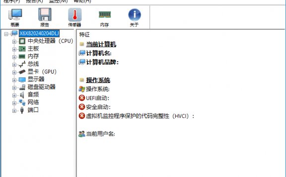 HWiNFO(专业系统信息检测工具) v8.21.5655 中文绿色版