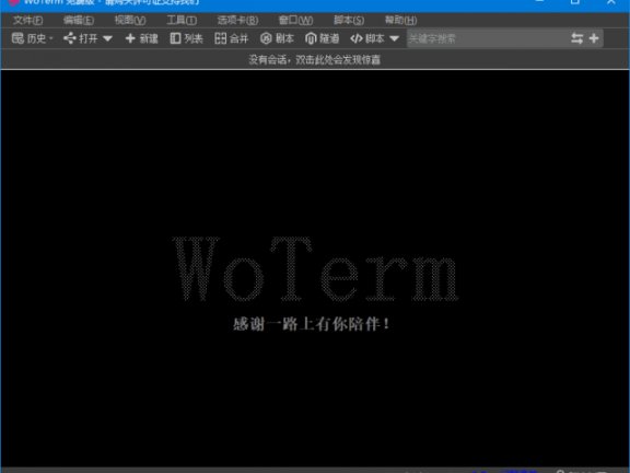 Woterm(跨平台远程管理工具) v10.1.2-202502071020 中文绿色版