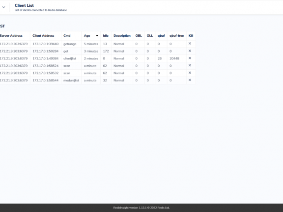 Docker 安装 Redis 和可视化工具 Redisinsight